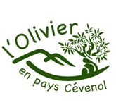 L'olivier en pays cévenol